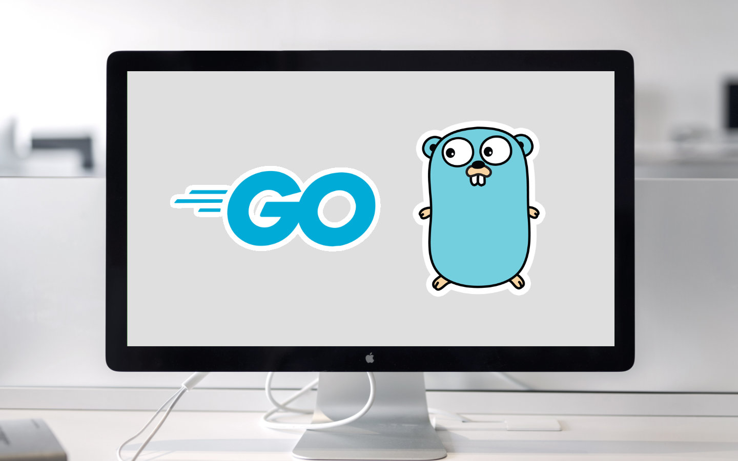 Go Series: Introduction to Go